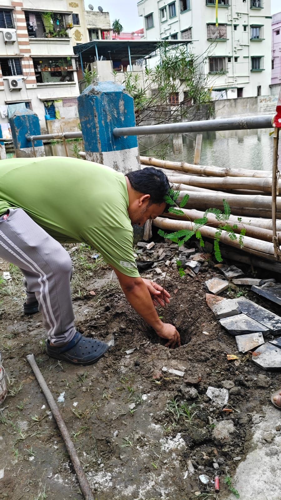 🌳 প্রকৃতির প্রতি ভালোবাসা থেকেই বৃক্ষরোপণের এই ছোট্ট উদ্যোগ। সবুজ হোক আমাদের আগামী।